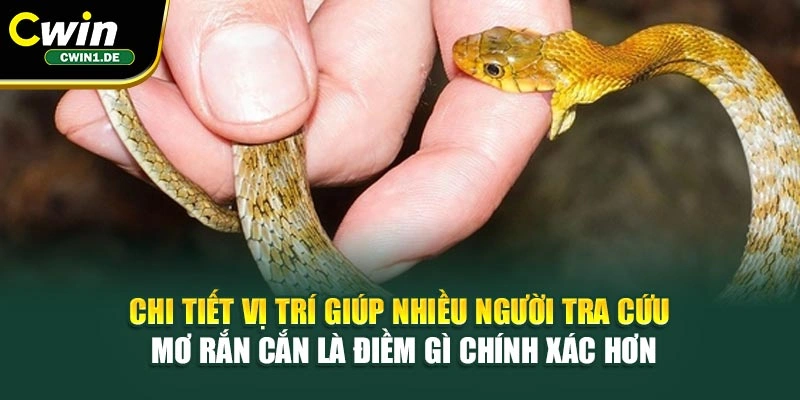 Chi tiết vị trí giúp nhiều người tra cứu mơ rắn cắn là điềm gì chính xác hơn